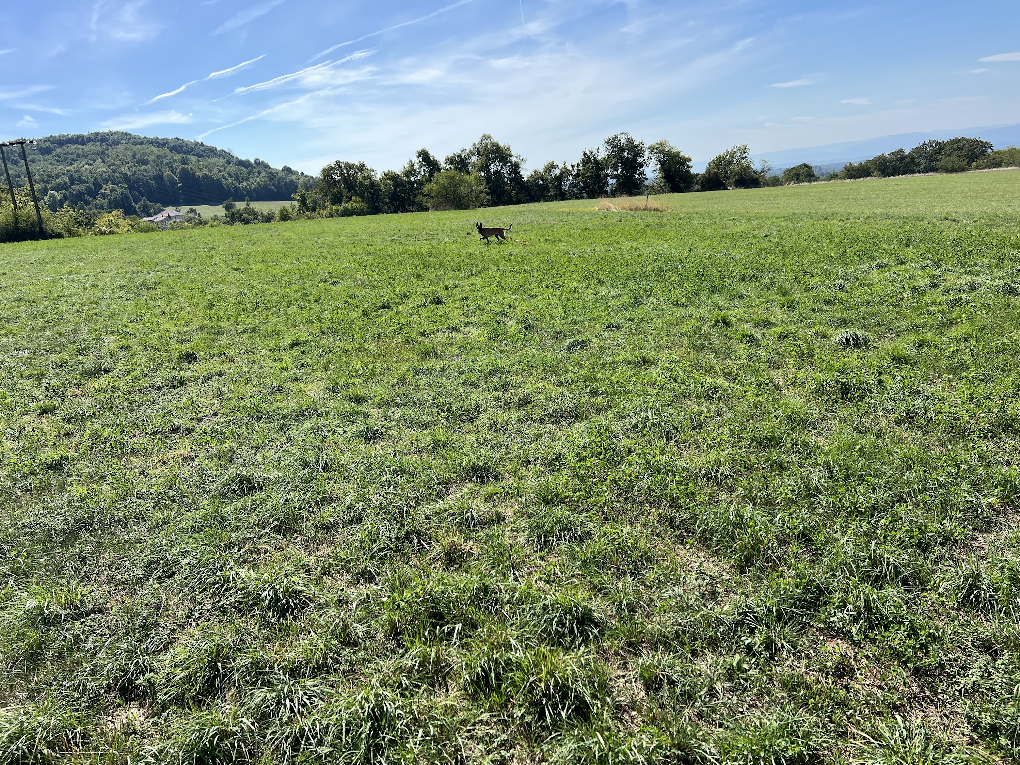 Domaine canin du château — photo