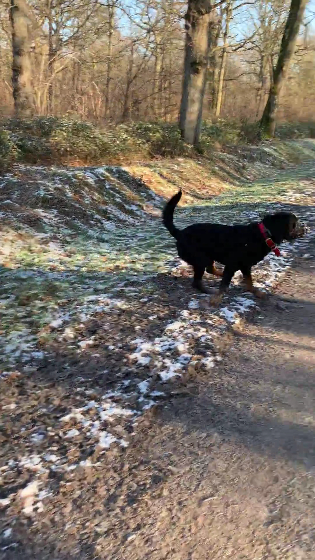 La Colo Du Chien — photo