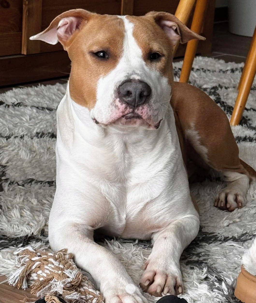 La Colo Du Chien — photo