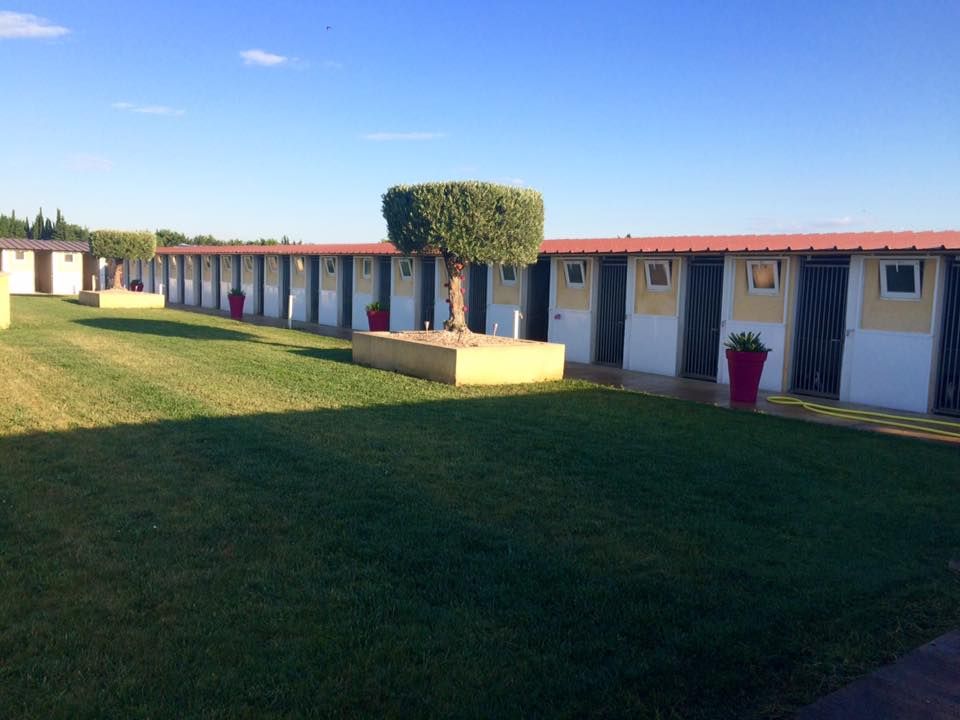 Elevage du Canal de Lunel — photo