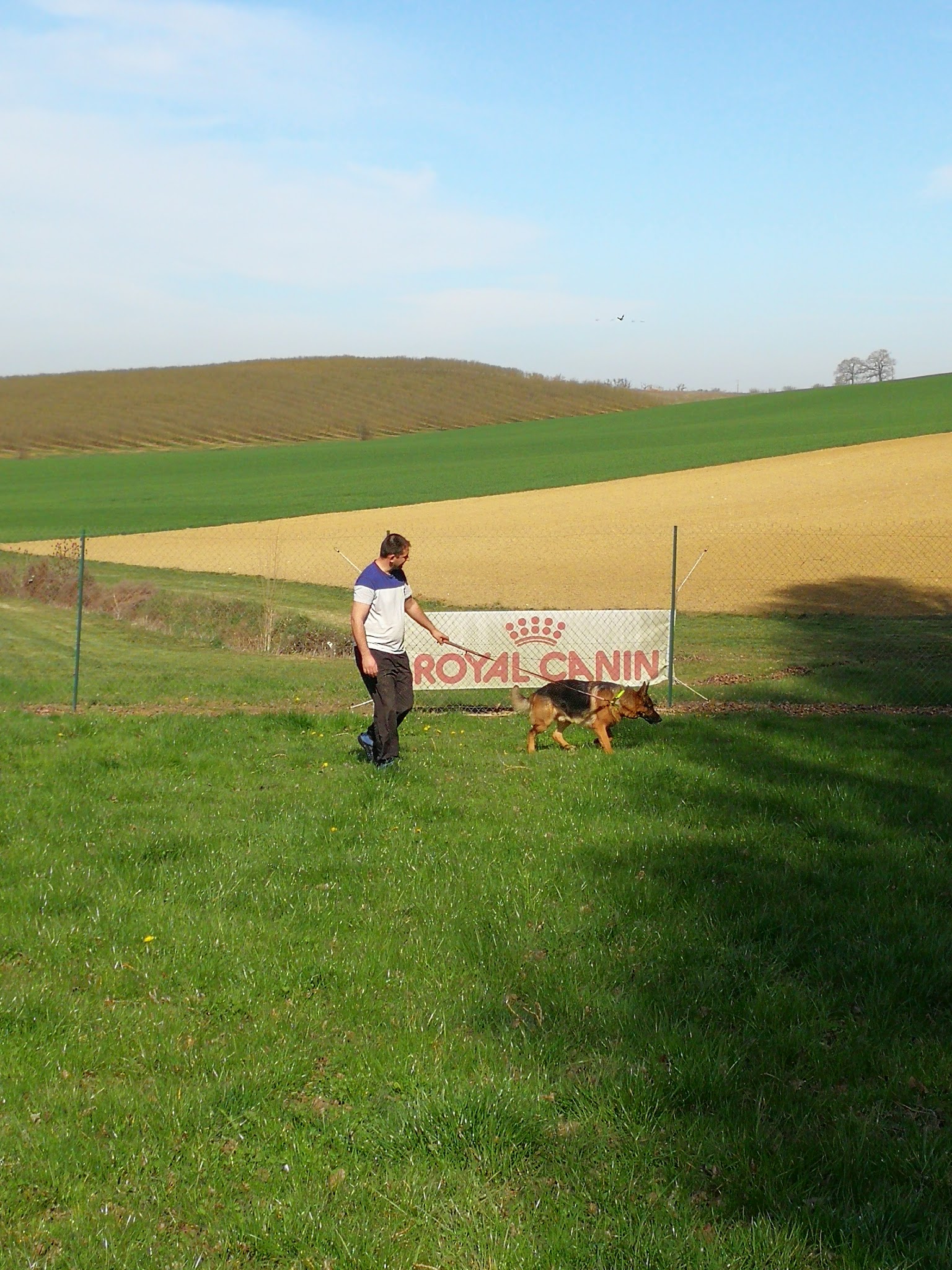 Pension Canine Innovadog — photo