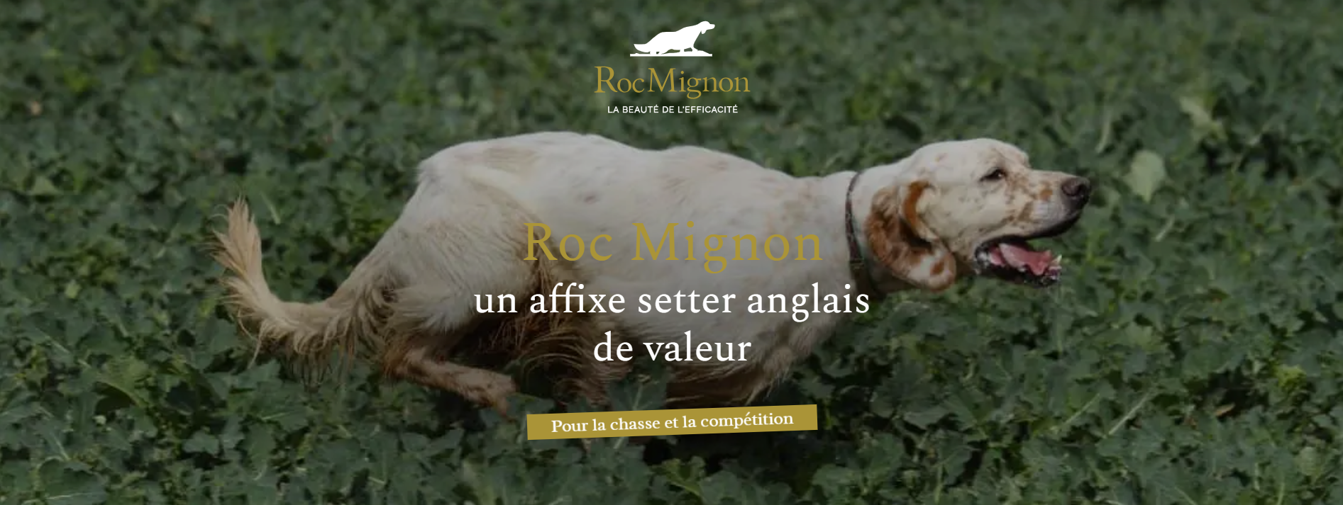 Roc Mignon