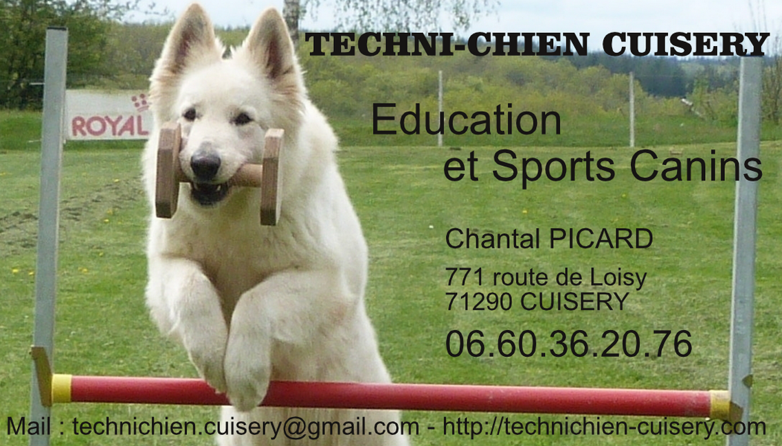 TECHNI-CHIEN CUISERY — photo