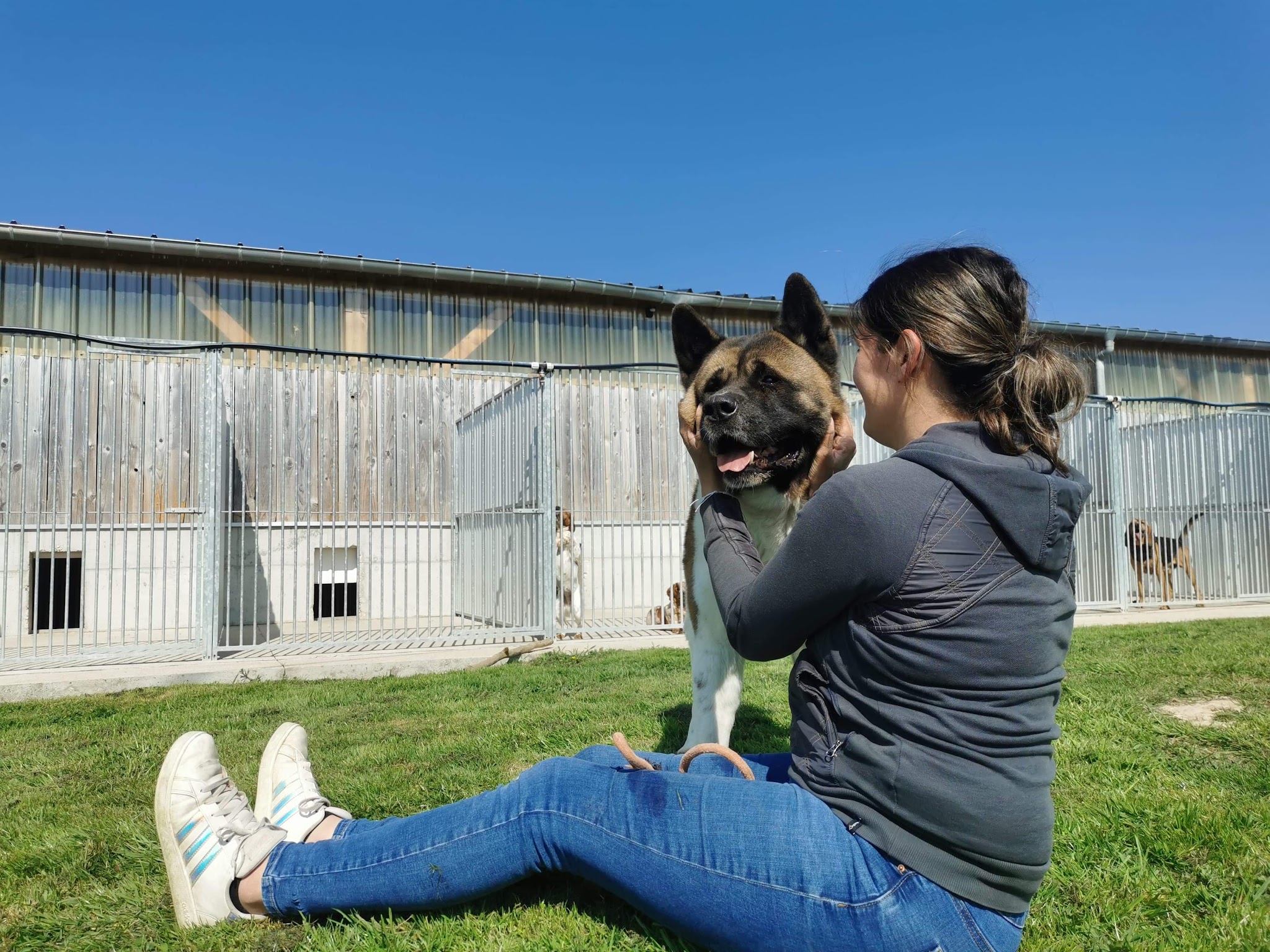 Pension Canine de la Mare de l'Oraille — photo