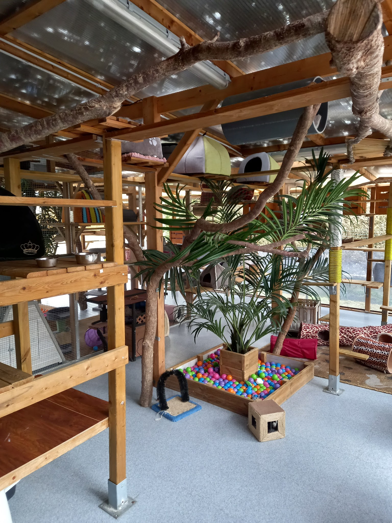 4 Pat'Sitter — photo