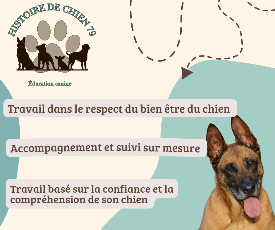 Histoire de chien 79 — photo