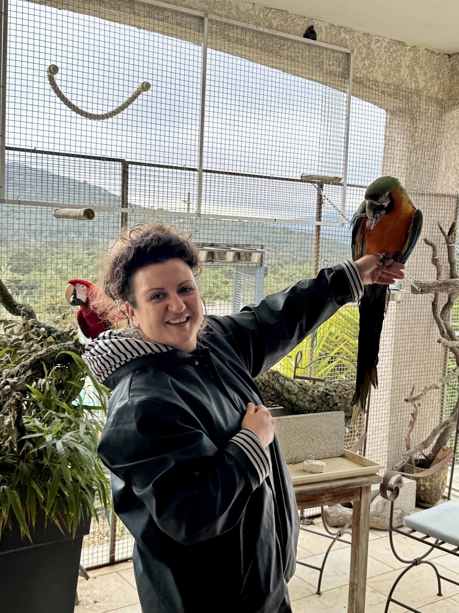 Les Chamis de Marion — photo