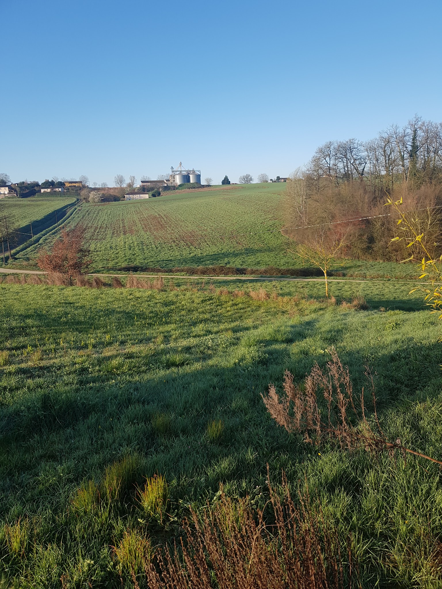 Domaine de Poumecoste — photo