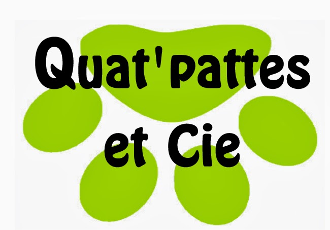 Quat'Pattes et Cie — photo