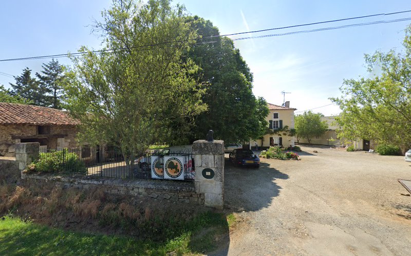 Lime Tree Kennels