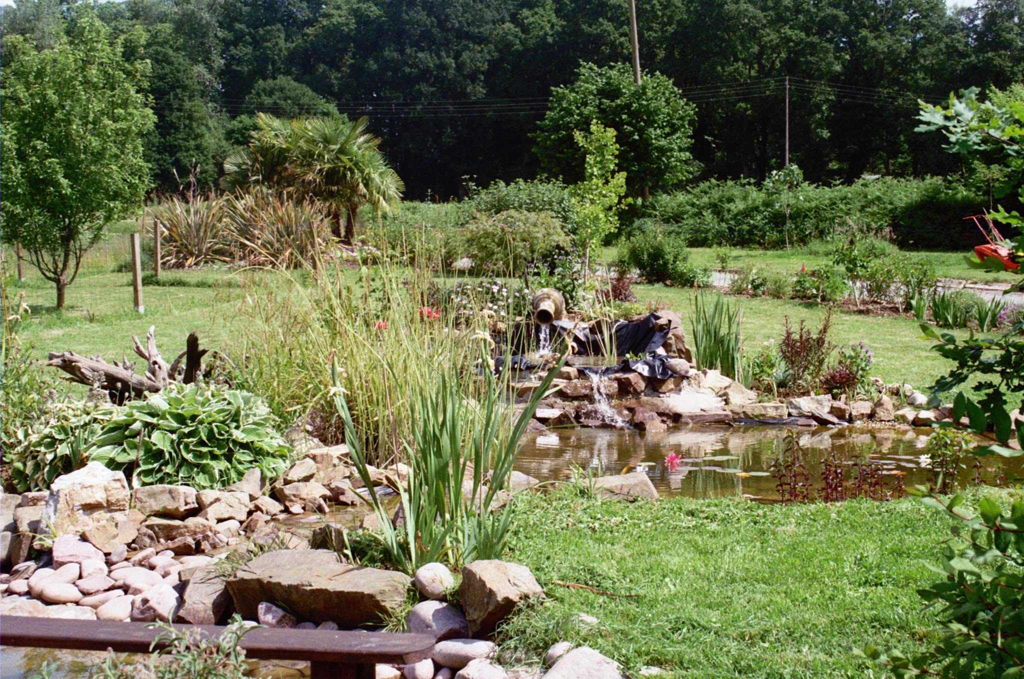 Au Jardin des amis à 4 pattes — photo