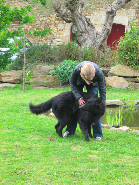 Au Jardin des amis à 4 pattes — photo