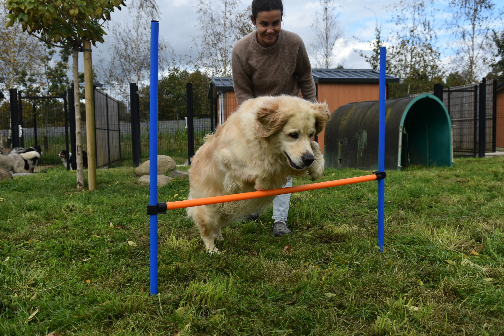 La Colo de Maestro - pension canine — photo