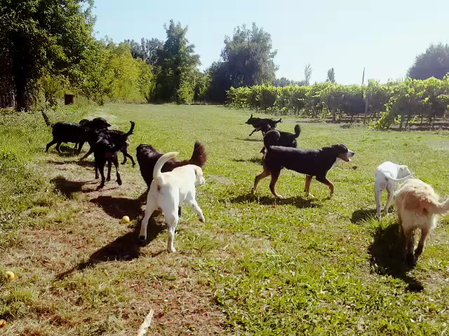 Le Logis du Trèfle — photo