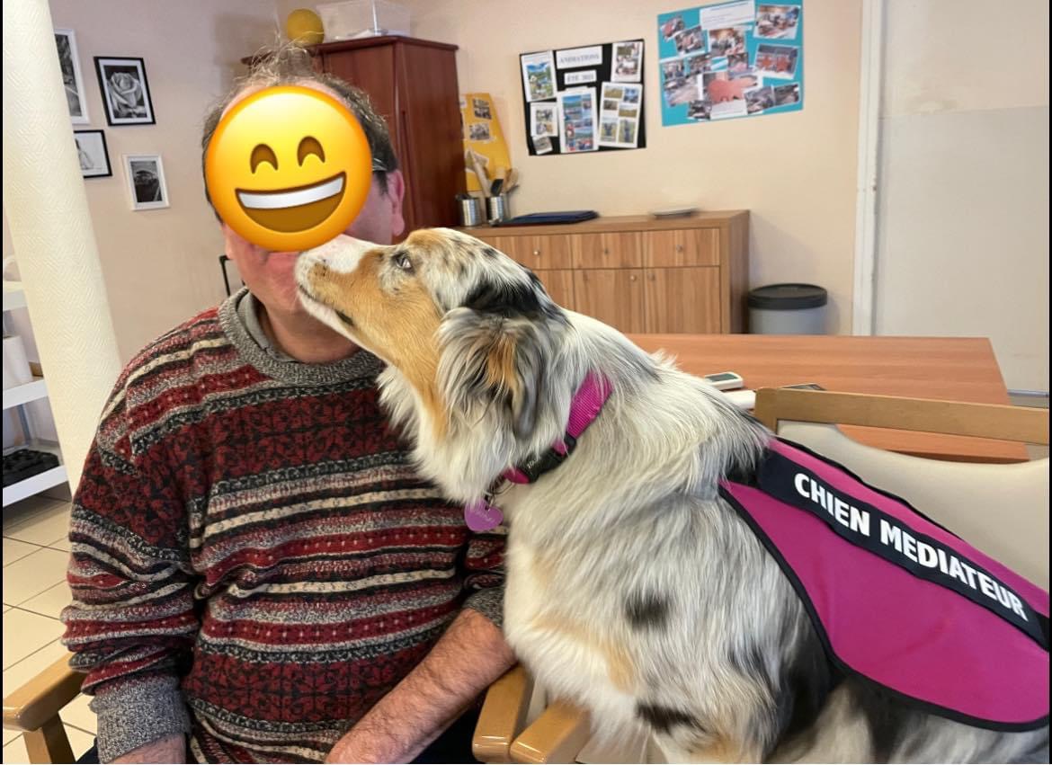 Un peu de toi - Médiation par l’animale /Pet Sitting/ Zoothérapie / Médiation animale — photo
