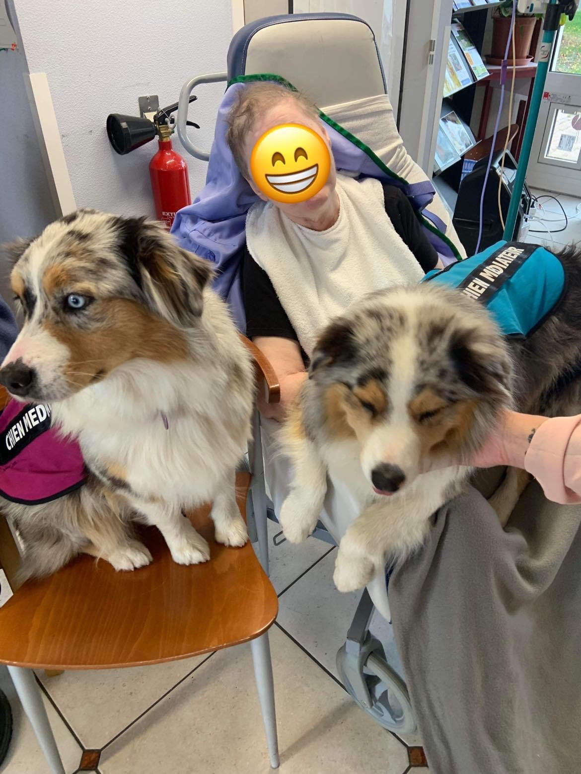 Un peu de toi - Médiation par l’animale /Pet Sitting/ Zoothérapie / Médiation animale — photo