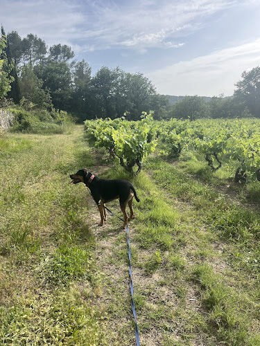 Pension canine du Tao