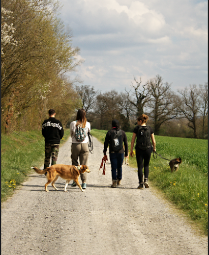 Eki'Compagnie - Education canine & Pet-sitting
