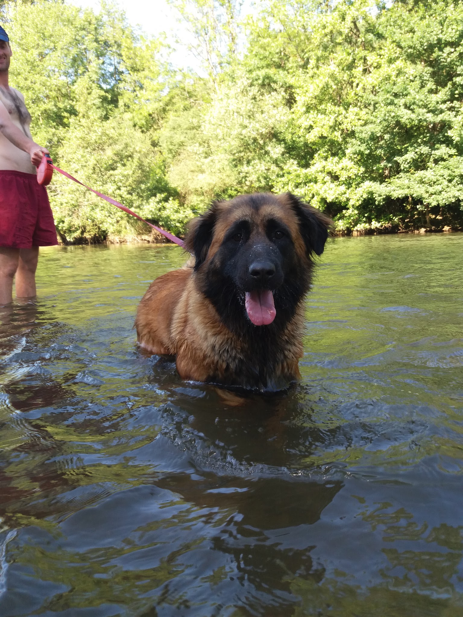 Domaine des granges / Pension canine — photo