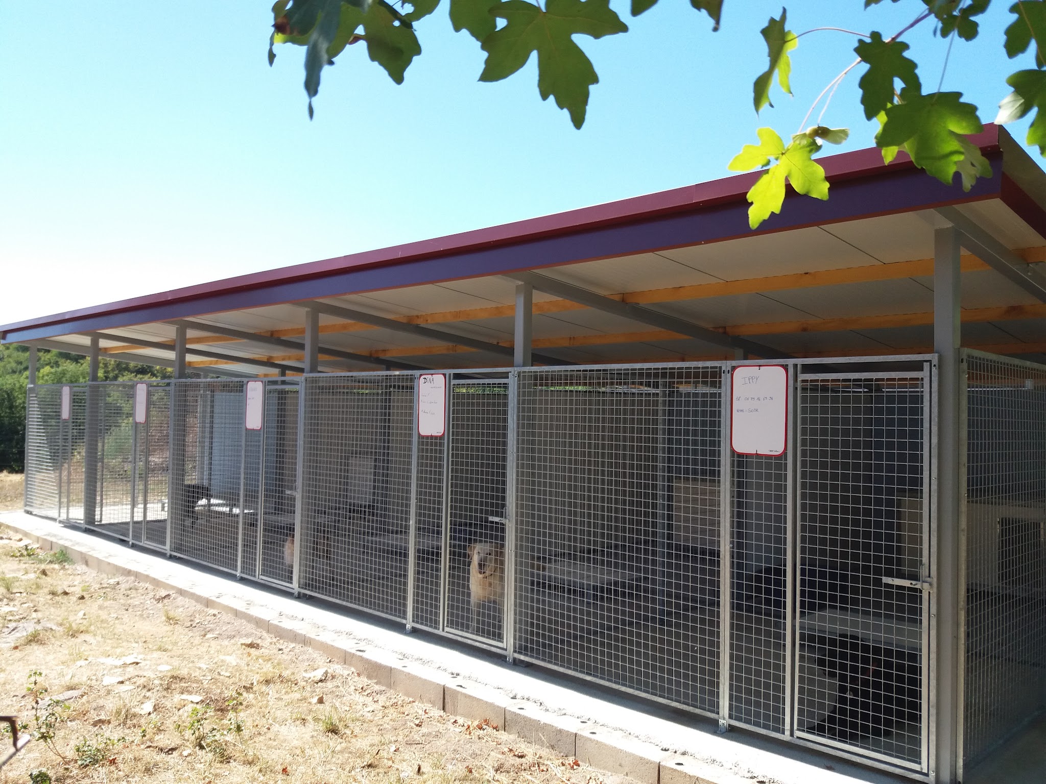 Domaine des granges / Pension canine