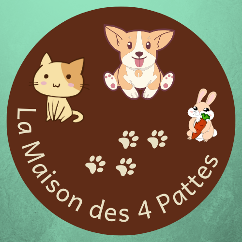 La maison des 4 pattes — photo
