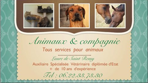 Animaux & compagnie