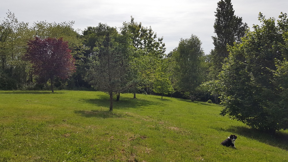 APCF - 'Chez Alex' - Pension Canine — photo