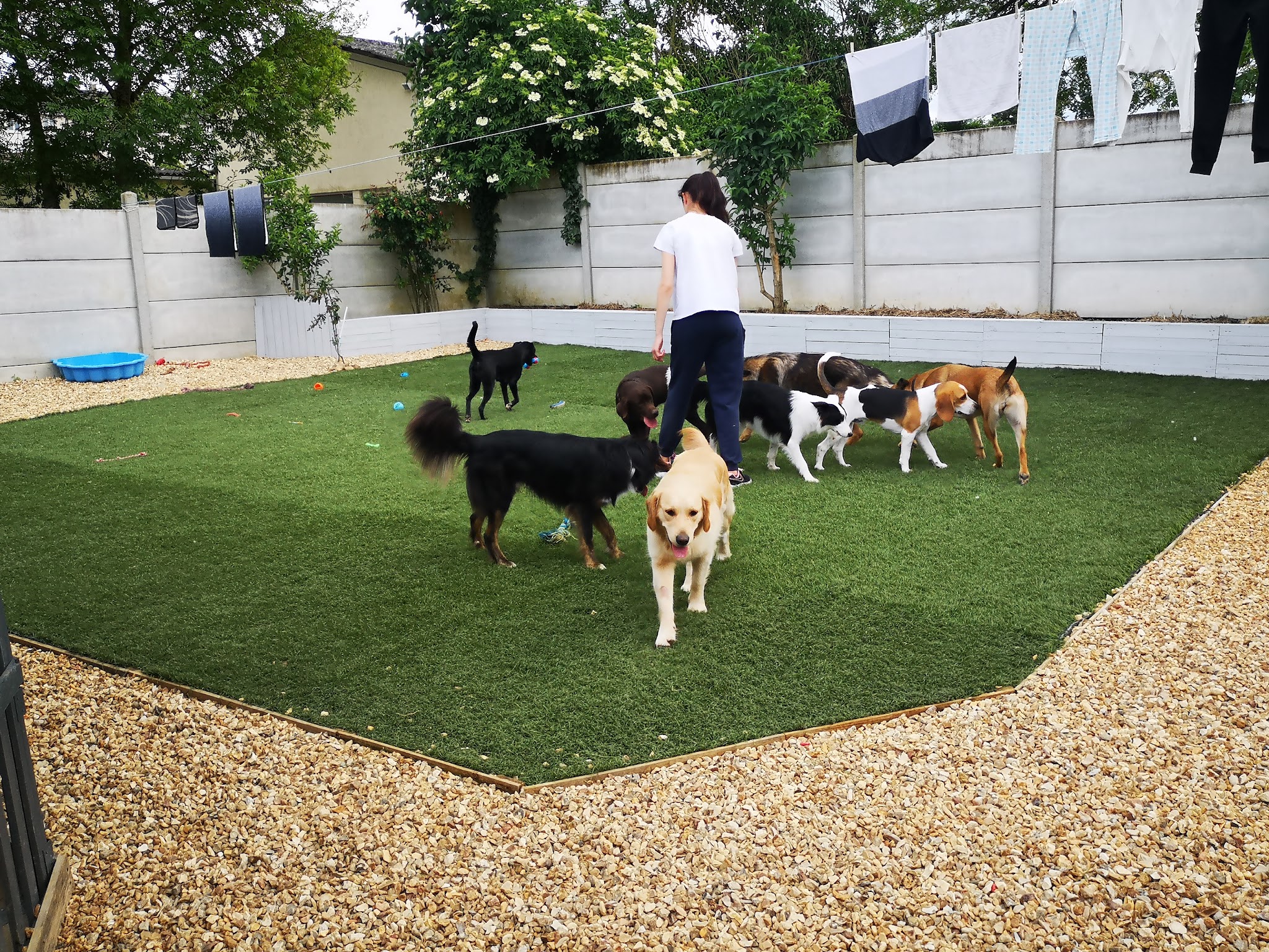 Maison Pet — photo