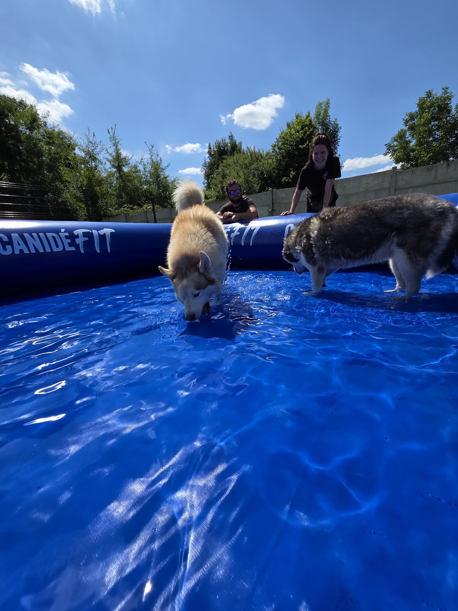 ECPV-Espace Canin de la Plaine Vosgienne — photo