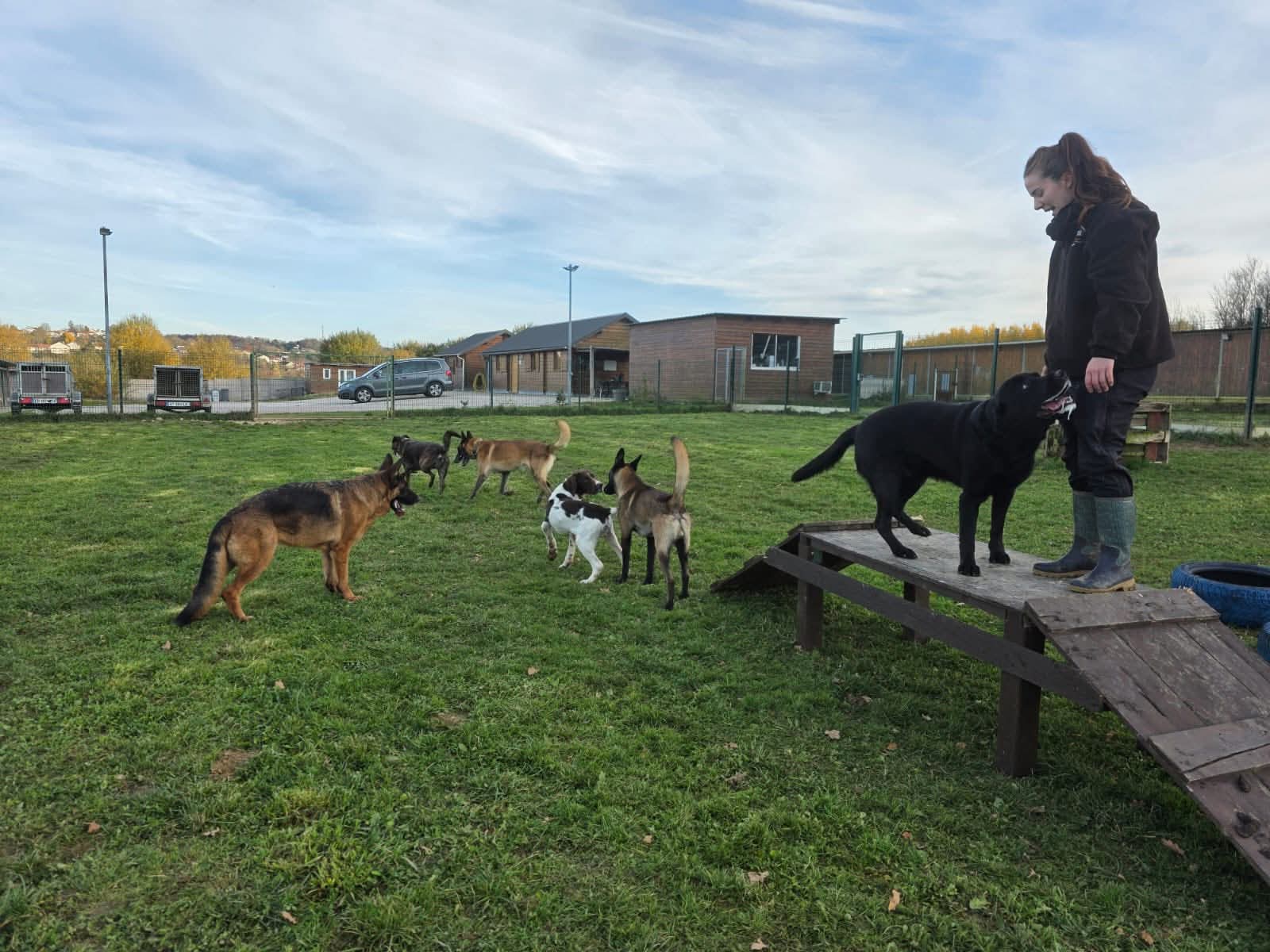 ECPV-Espace Canin de la Plaine Vosgienne