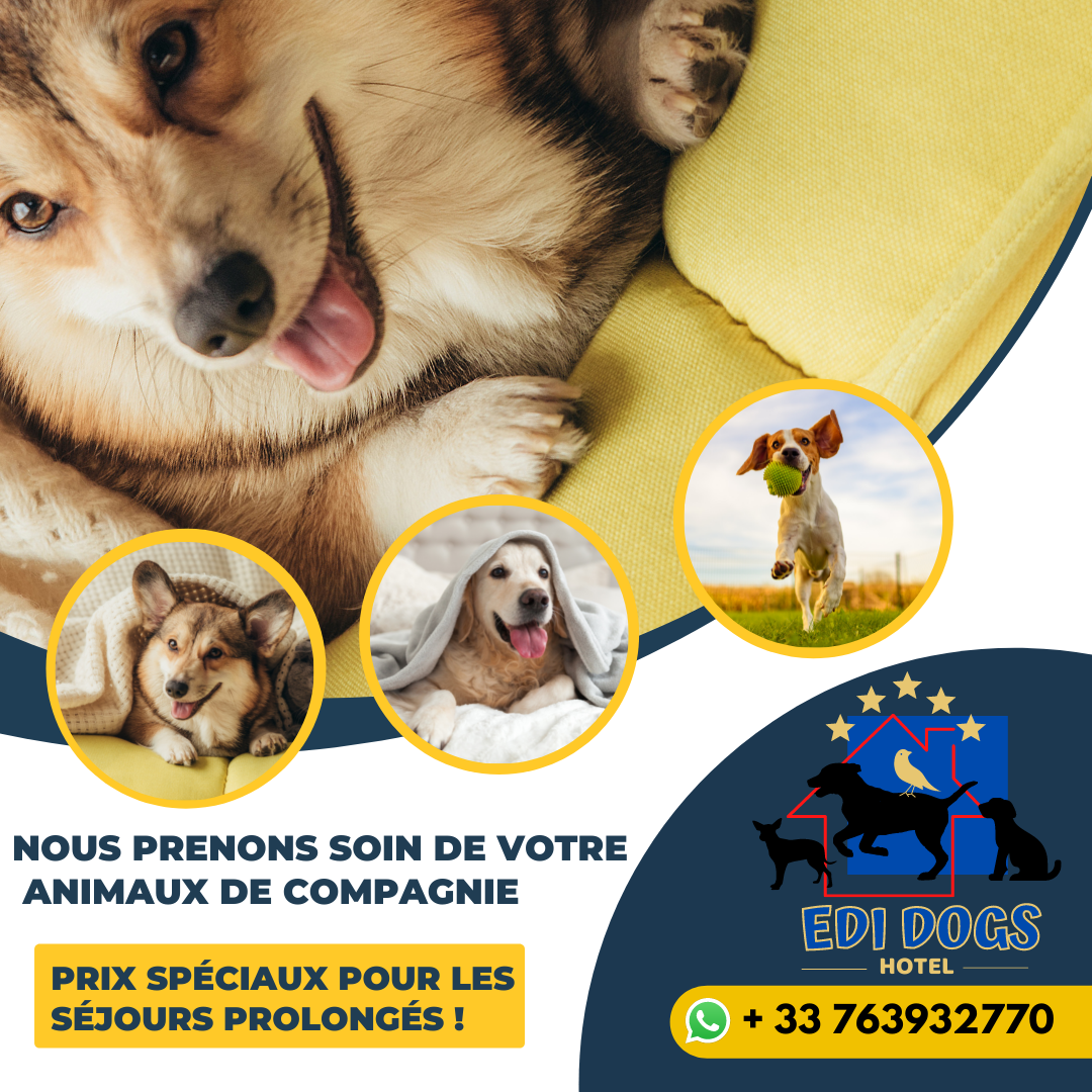 Edi Dogs Hotel