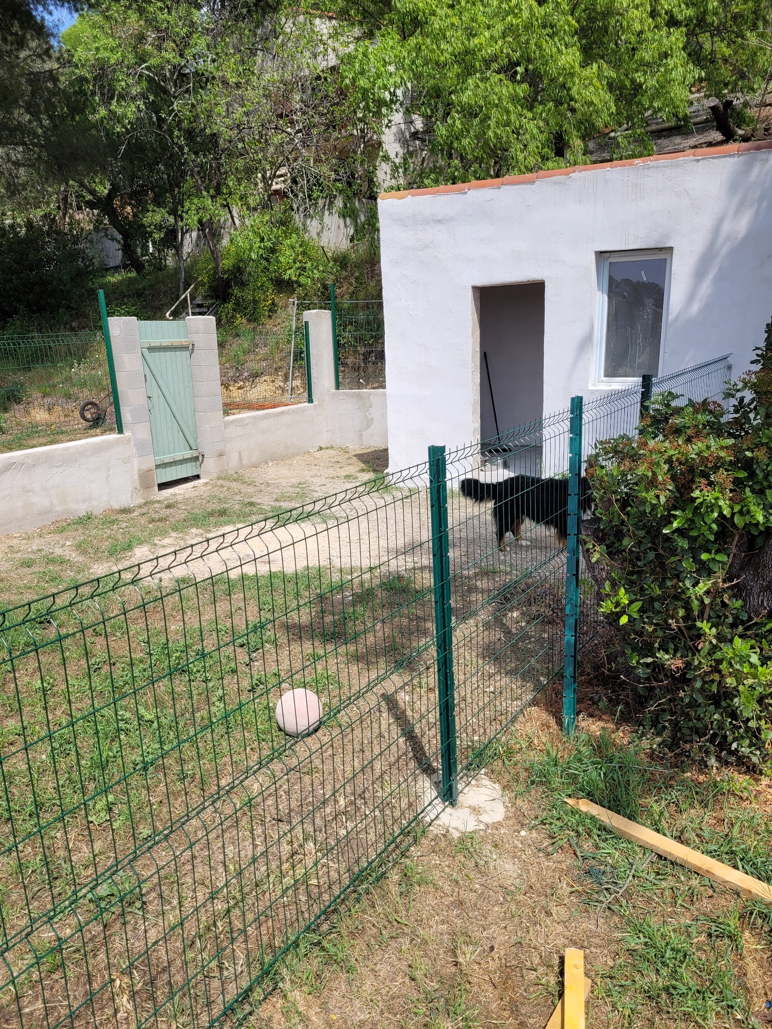 keepdog pension canine — photo