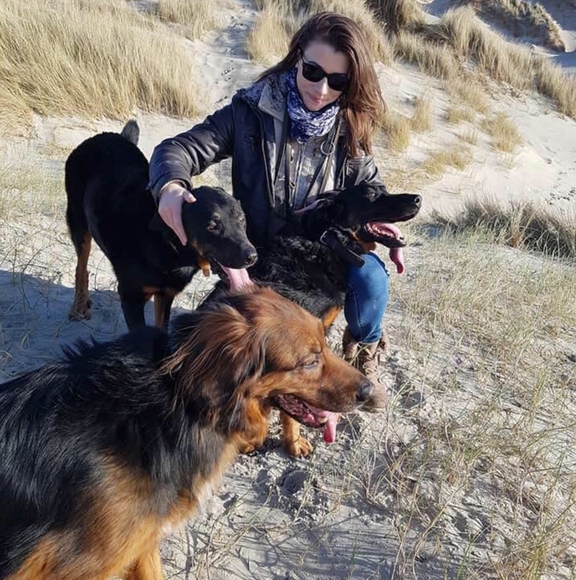 Cats&Dogs - Petsitter à votre domicile — photo