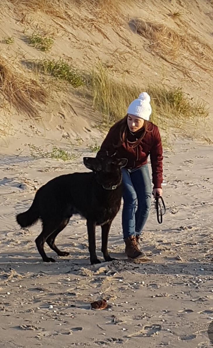 Cats&Dogs - Petsitter à votre domicile — photo