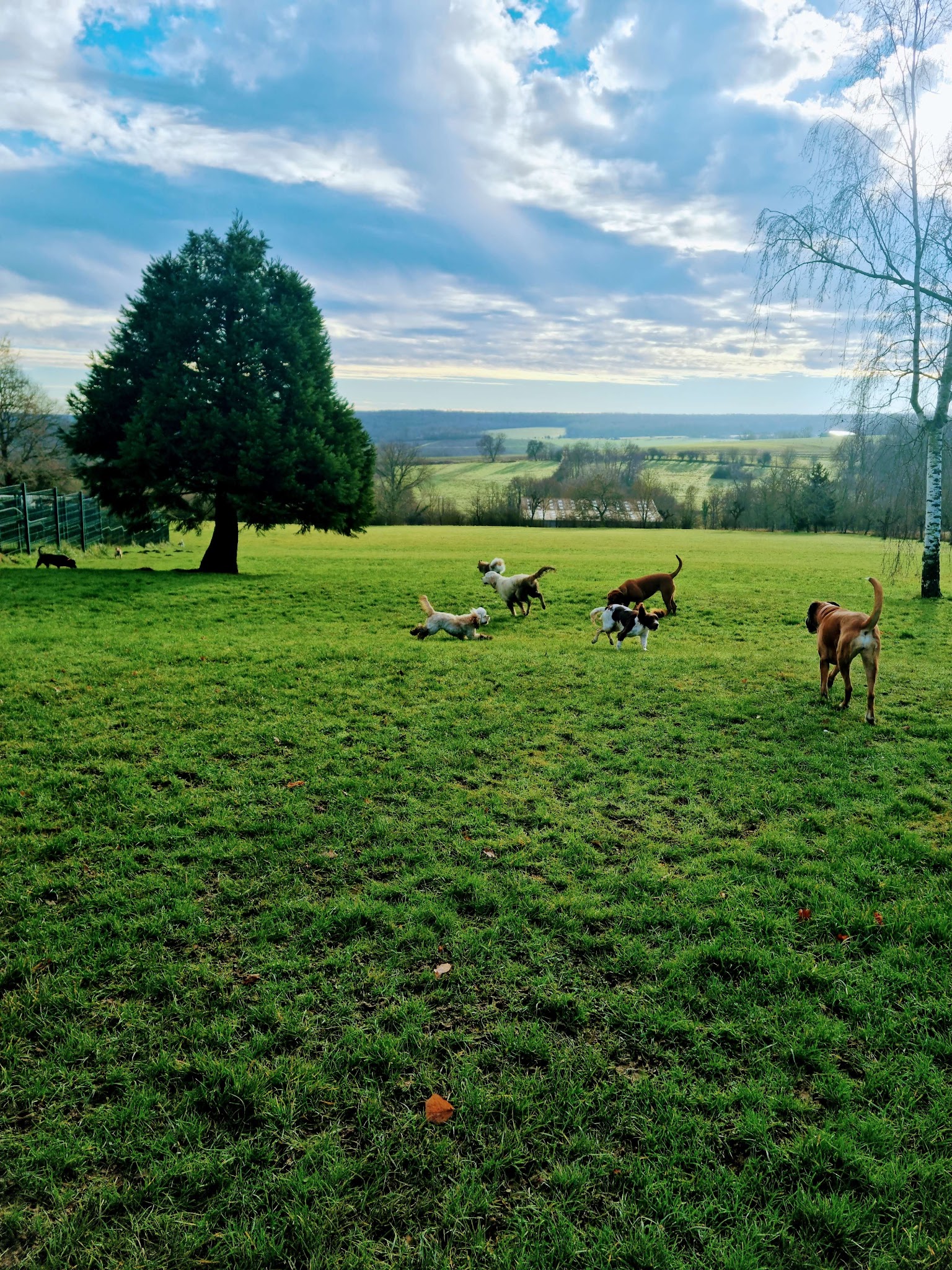 Lez animaux en colo — photo