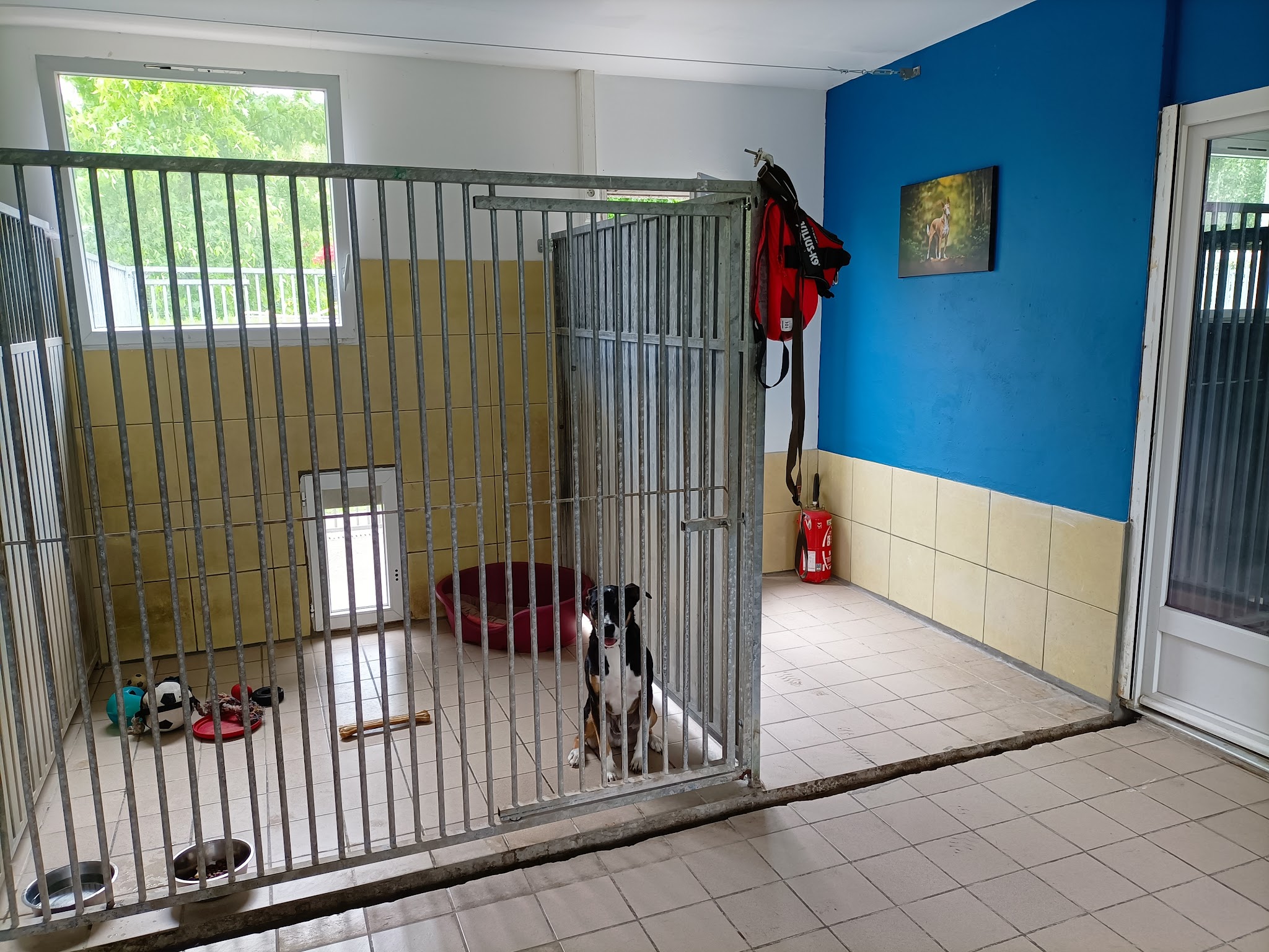 Pension de Bonavis — photo