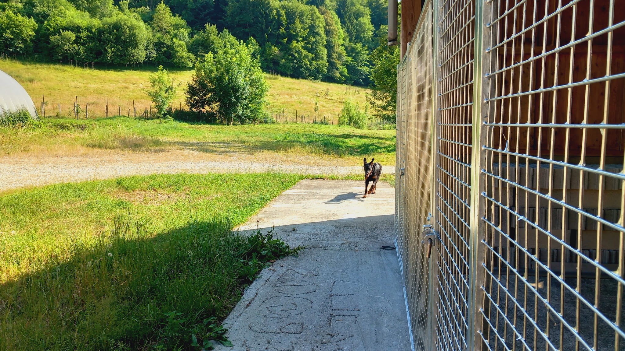 Pension Des Bergers de Loscane — photo