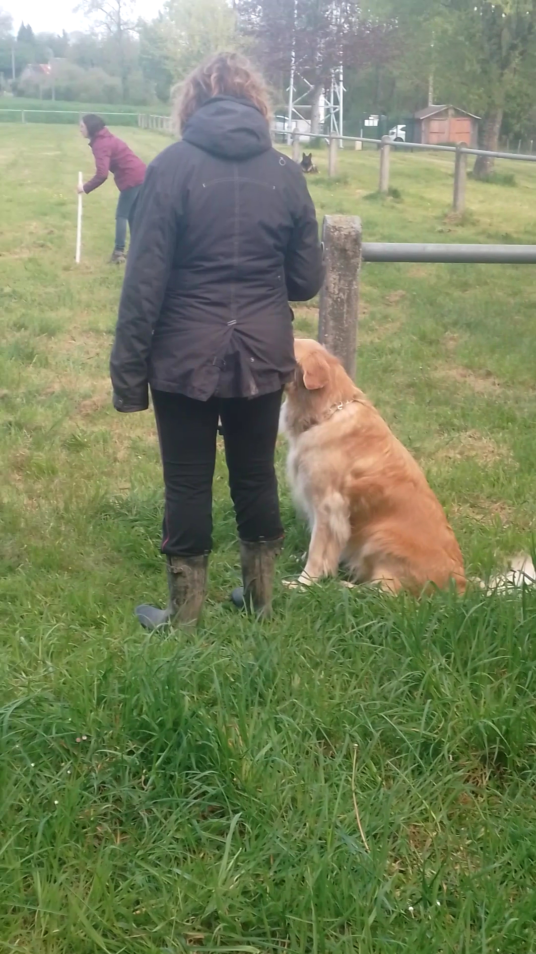 Centre Canin La Faye - Pension, élevage, éducation canine — photo