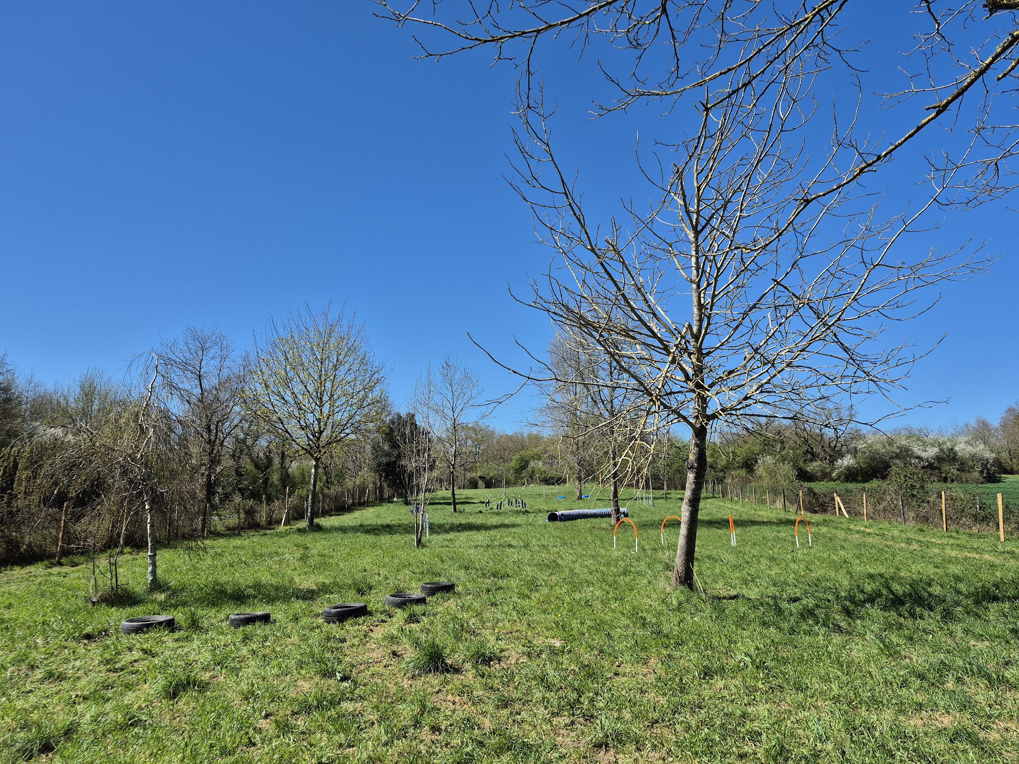 Centre et Parc Canin Cyno Spirit Gold — photo