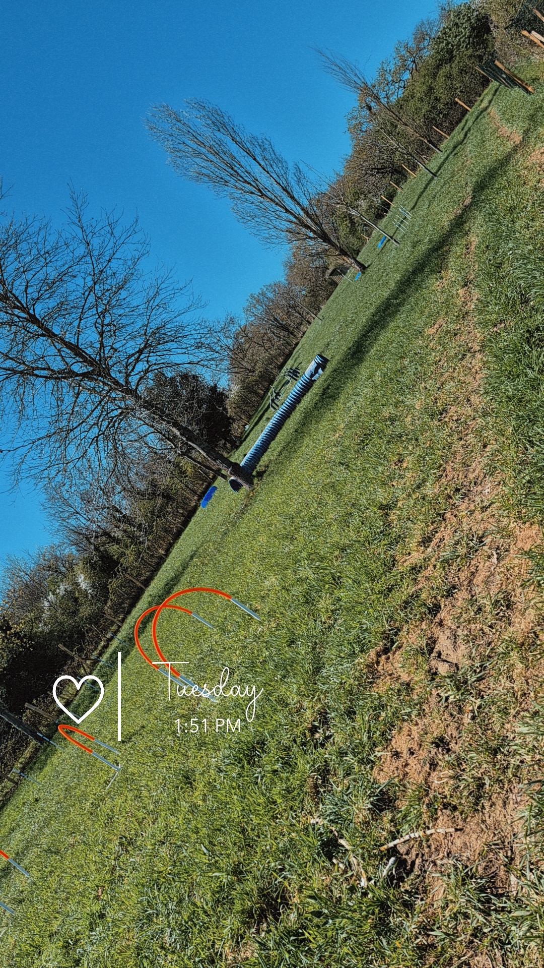 Centre et Parc Canin Cyno Spirit Gold — photo