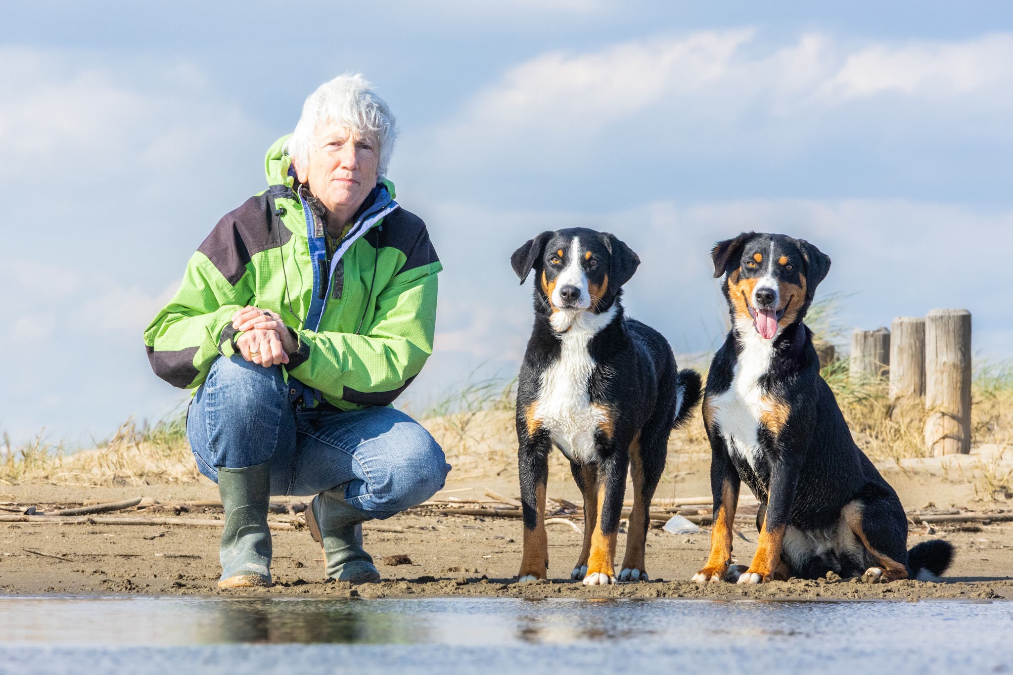 La Zone Canine : Pension Canine - Éducation - Loisirs — photo