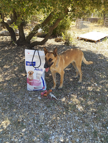 Utopoil - Lioux - Éducation/Comportement/Pension canine