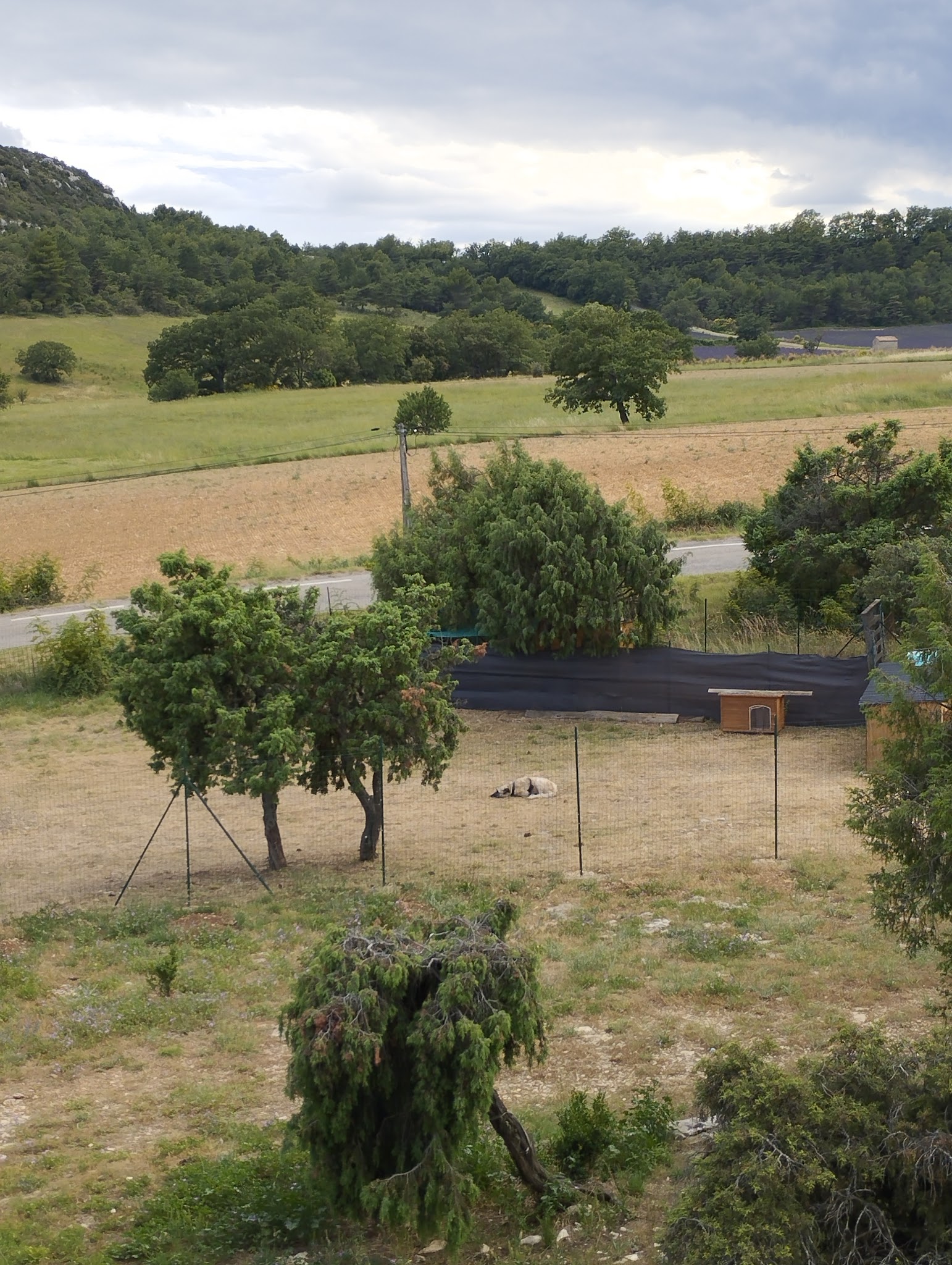 Utopoil - Lioux - Éducation/Comportement/Pension canine — photo