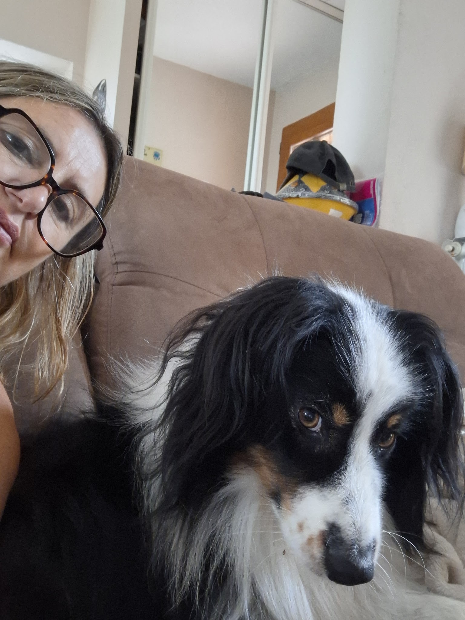 Au bonheur des Animaux — photo