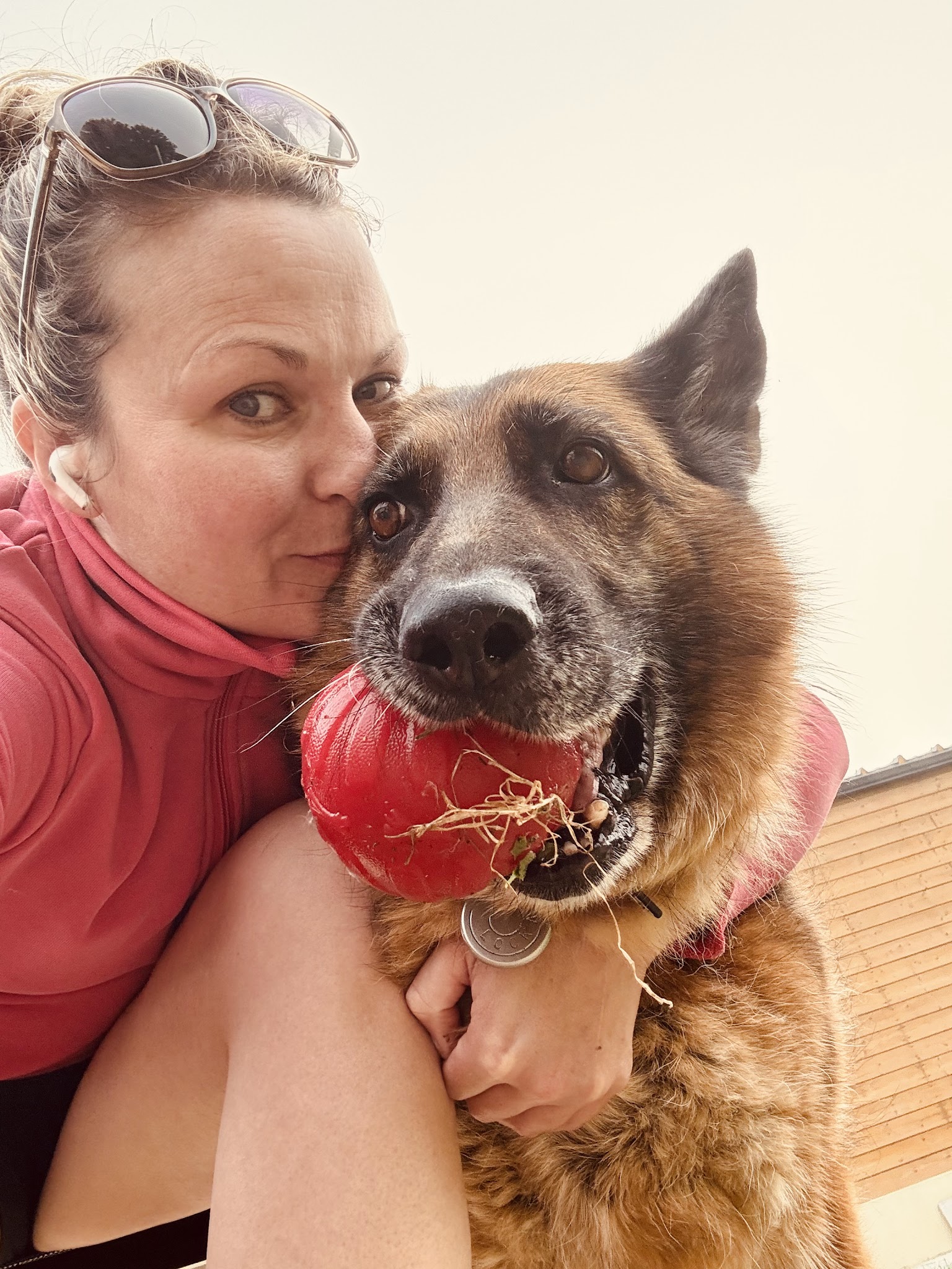 Casadog - Garde Chiens Et Chats — photo