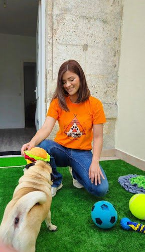 La Tribu des Pattes — Garderie & Pension pour Chiens à Angouleme
