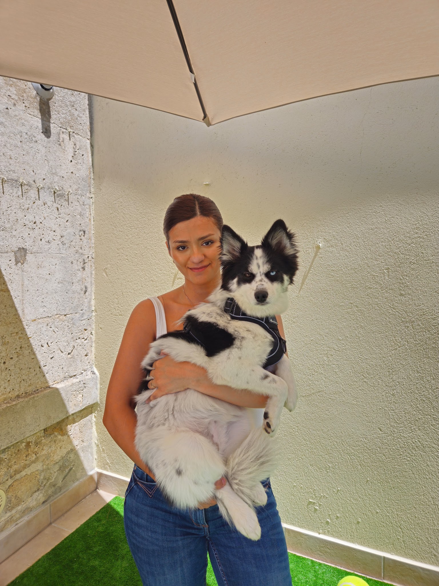 La Tribu des Pattes — Garderie & Pension pour Chiens à Angouleme — photo