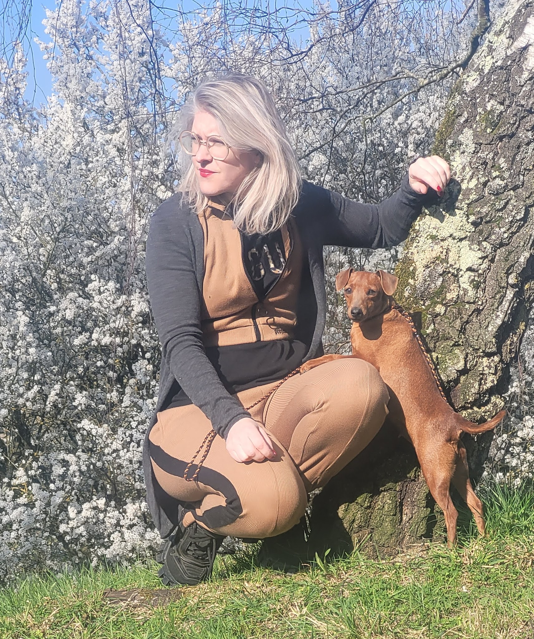 Des princes pinscher — photo