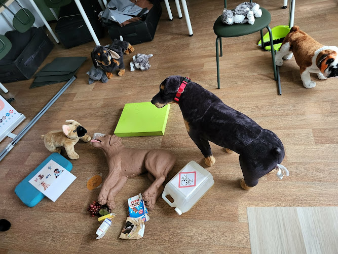 La Main à la Patte