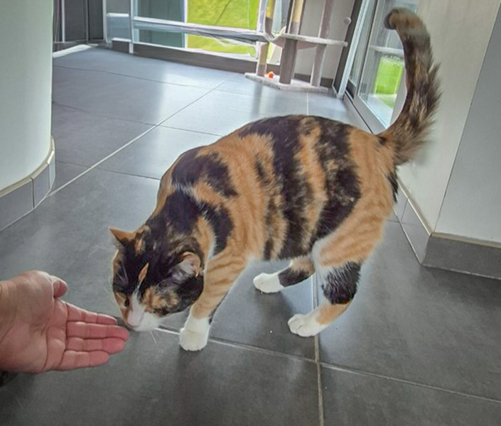 La Main à la Patte — photo